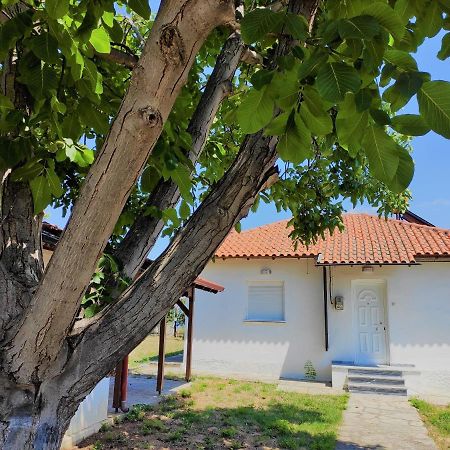 White Clam Vintage House With Sea View & Garden Villa Makrygialos Eksteriør billede